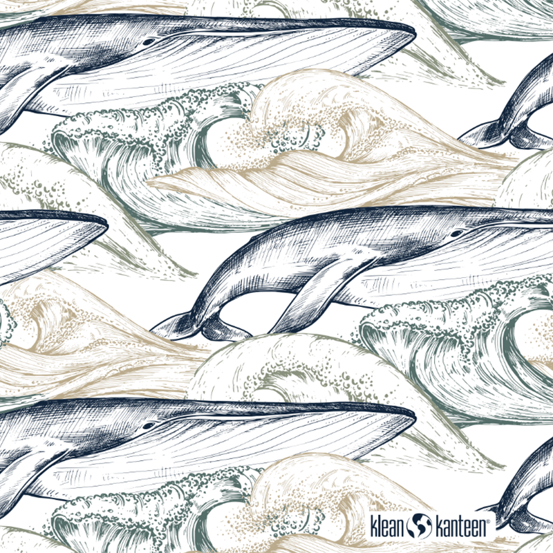 20oz-tkwide-with-twist-cap-ocean-day-s2 20oz_tkwide_bottle_seasonal_ocean_day_whale_artwork_square.png