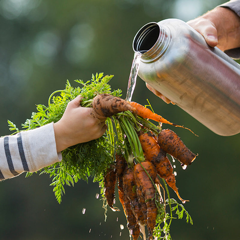 64oz-wide-with-loop-cap-h4 64oz_wide_mouth_bottle_carrots_rinse_square.jpg
